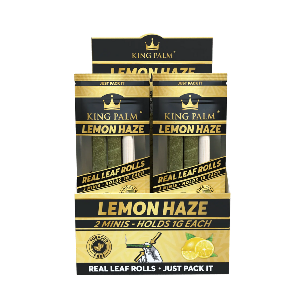 King Palm Lemon Haze